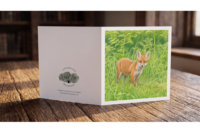 Fox Cub in Grass Greeting Card